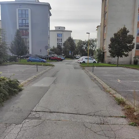 Skoliace Stredisko Ives *