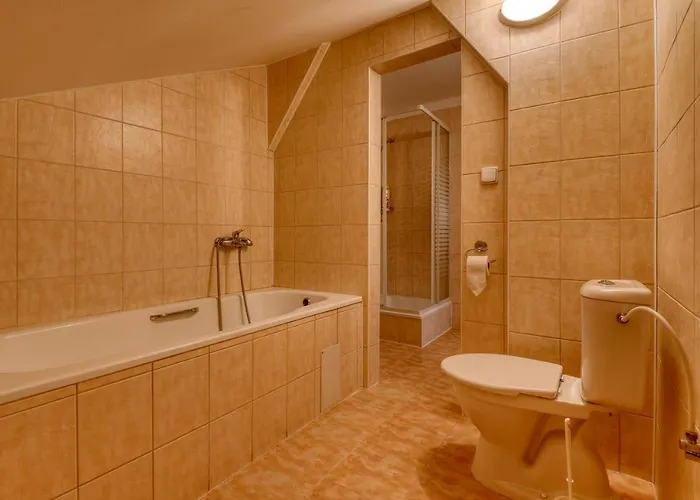 Skoliace Stredisko Ives *